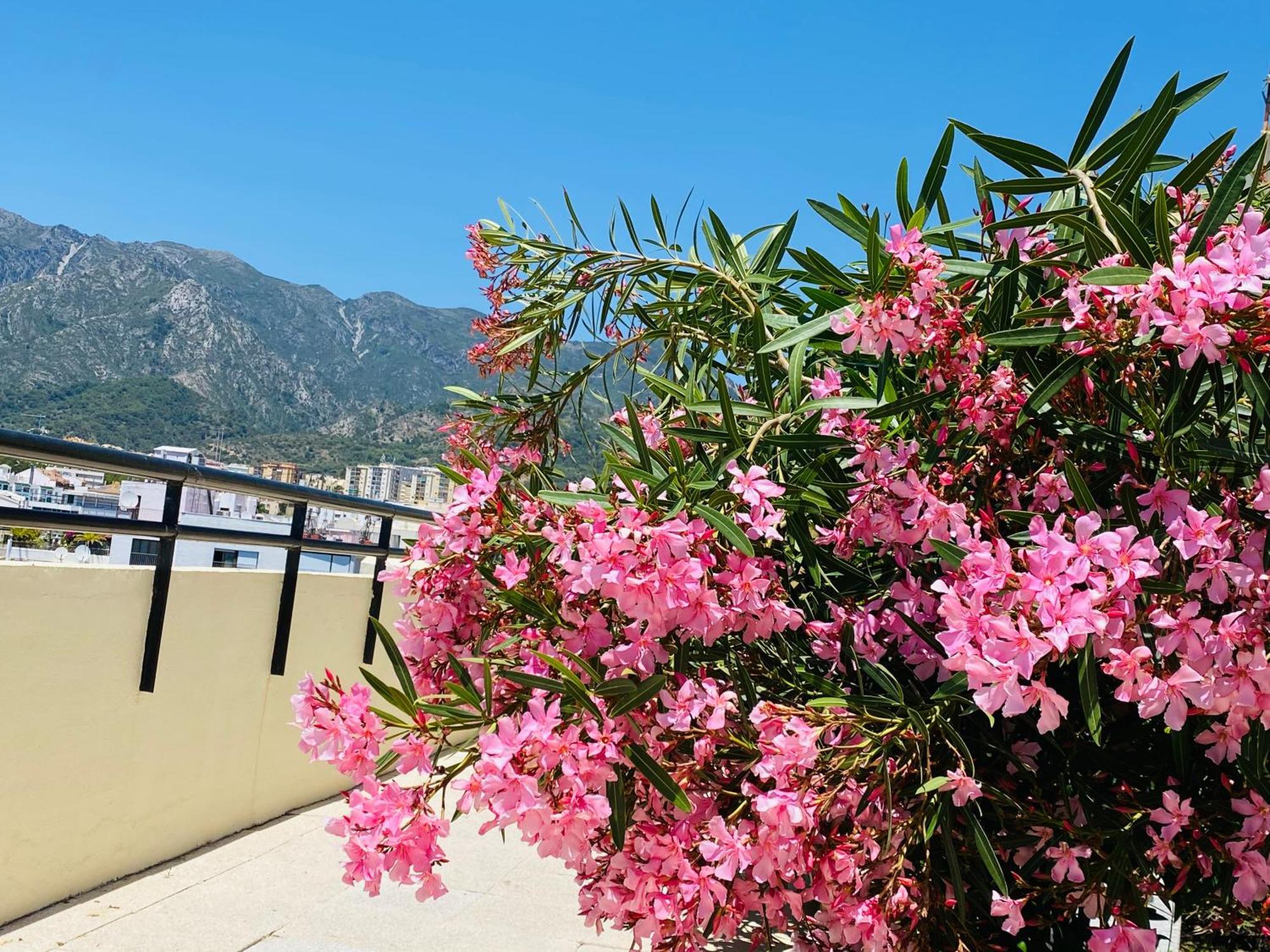 Apartment On The First Line Of The Sea With A View And Free Parking Marbella Luaran gambar